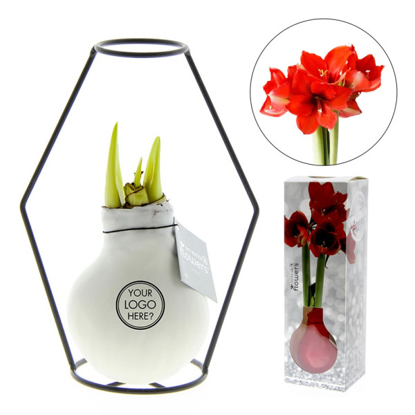 No Water Flowers® - Formz modern in luxury box
