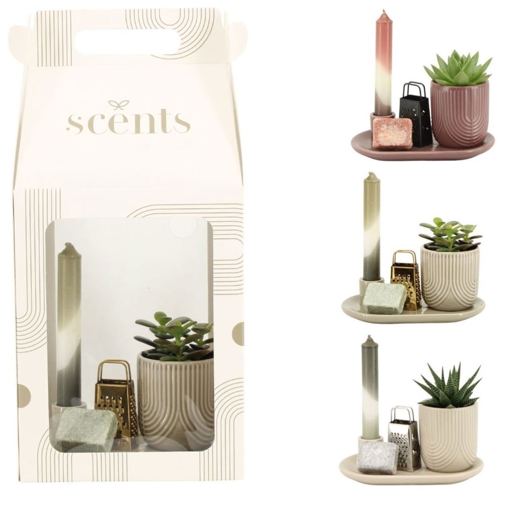 Aromatic Giftset large - Easy care