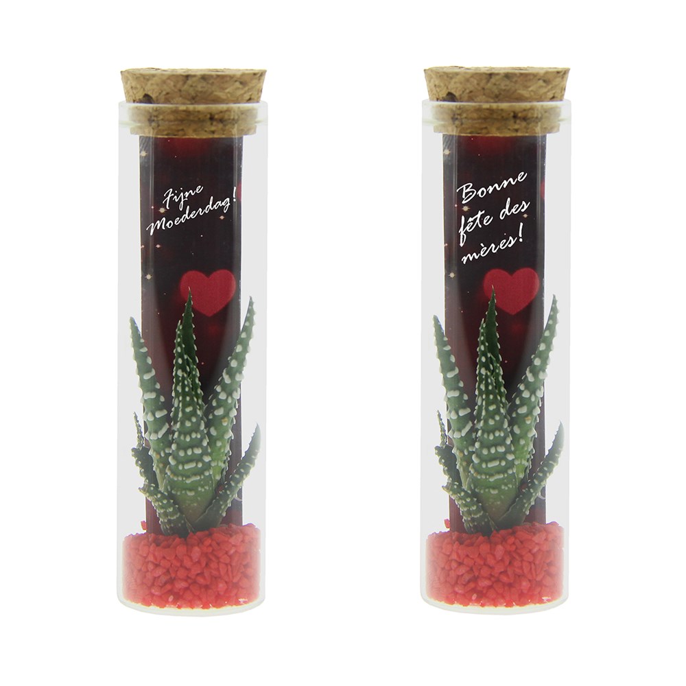 Tiny Treasurez® - Message in a bottle small, In Geschenkbox, Lila