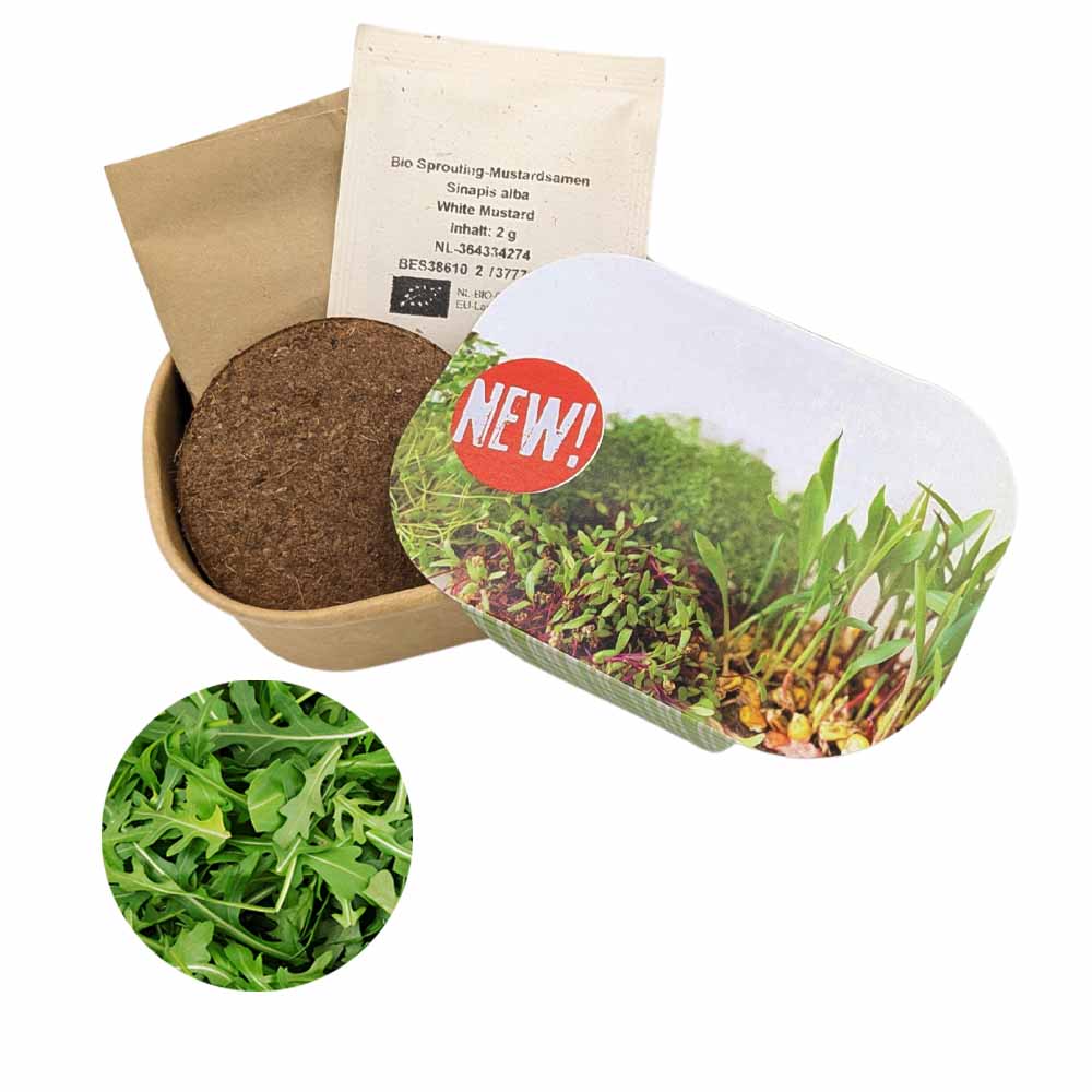 Microgreen Samen Pflanzset (klein) - Rettich China Rose - individuell