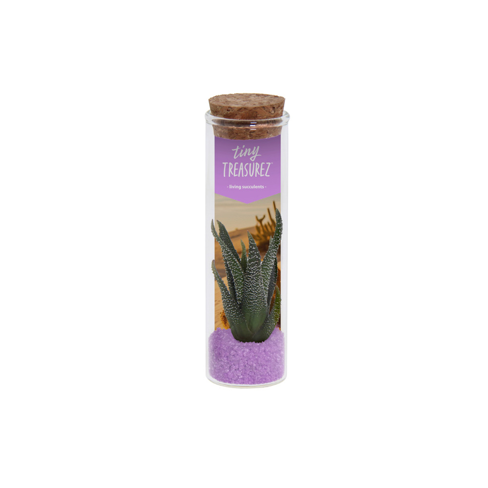 Tiny Treasurez® - Message in a bottle small, In Geschenkbox, Lila